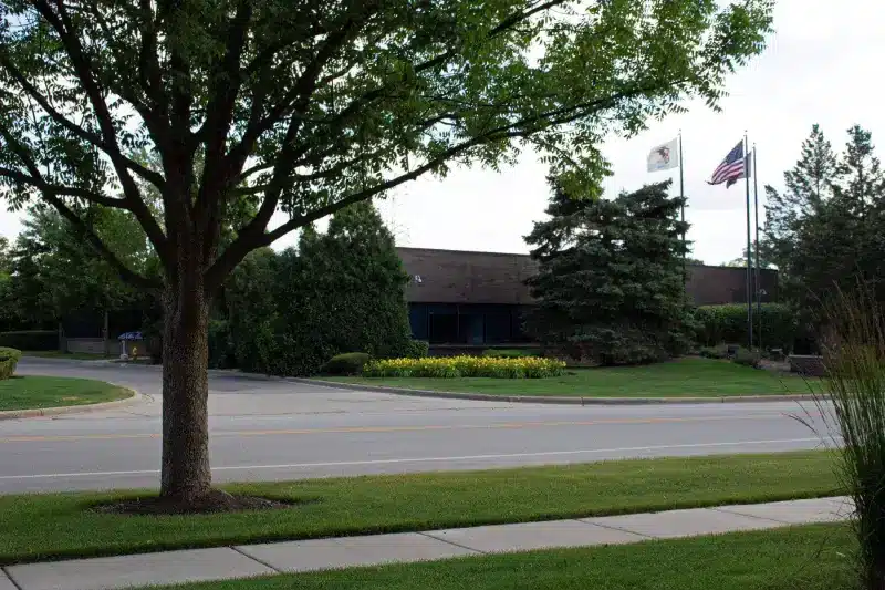 A tree in front of a brick building with flagpoles and a landscaped lawn