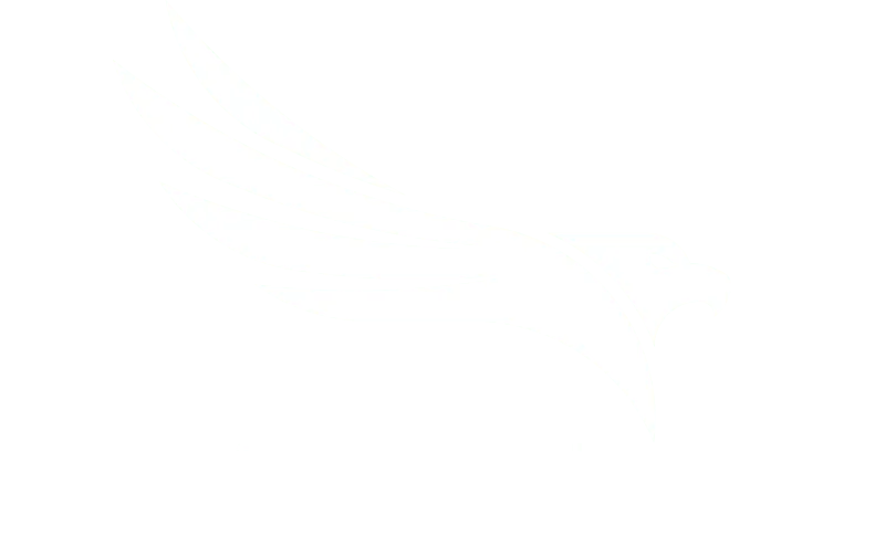 americaneagle.com logo